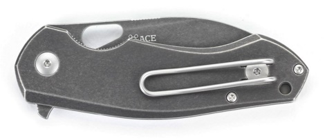 GM_ACE_Biblio_T_PVD_2.jpg