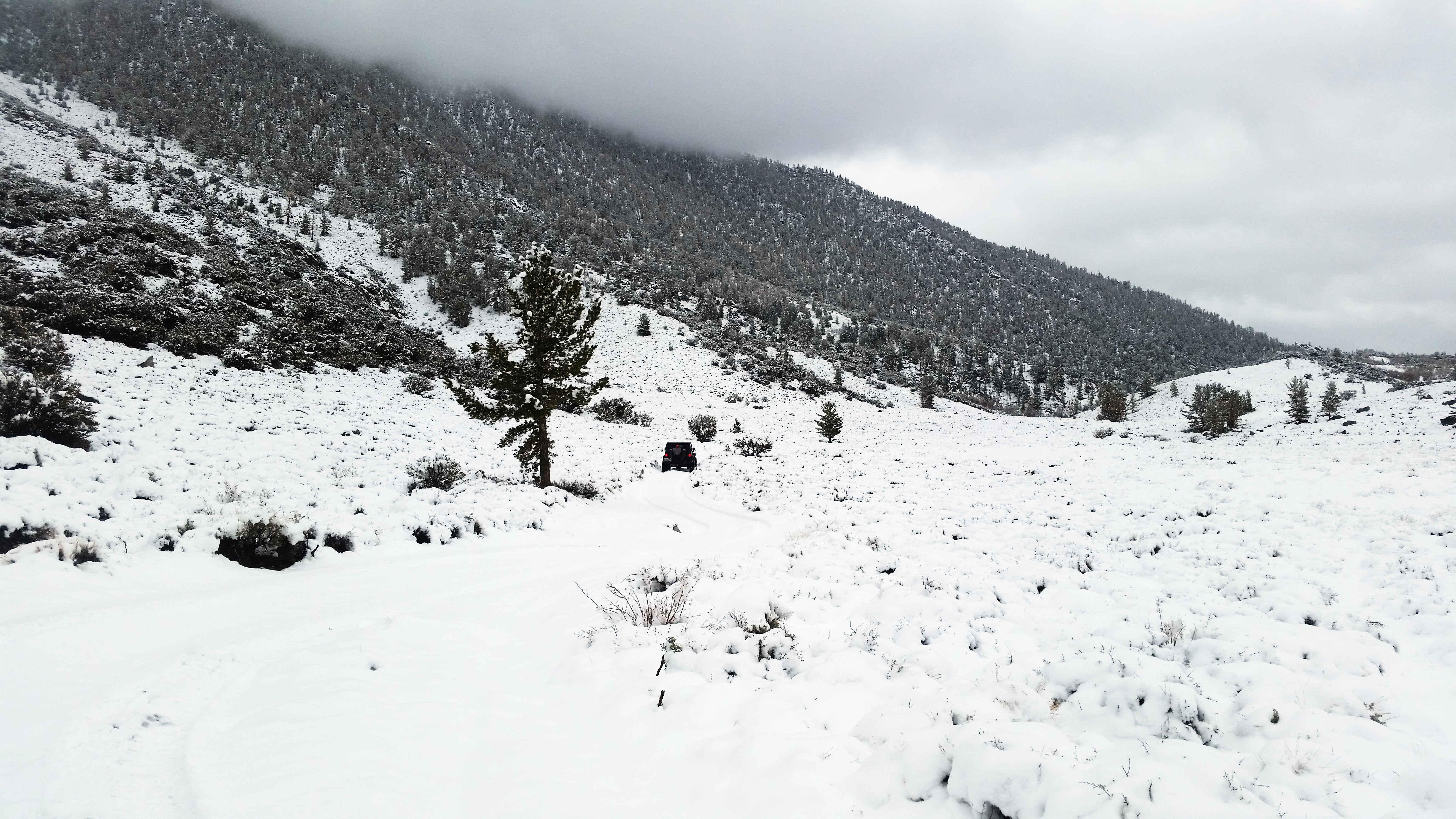 Wheeler Mountain.jpg