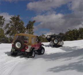 Stuck - off the trail.jpg