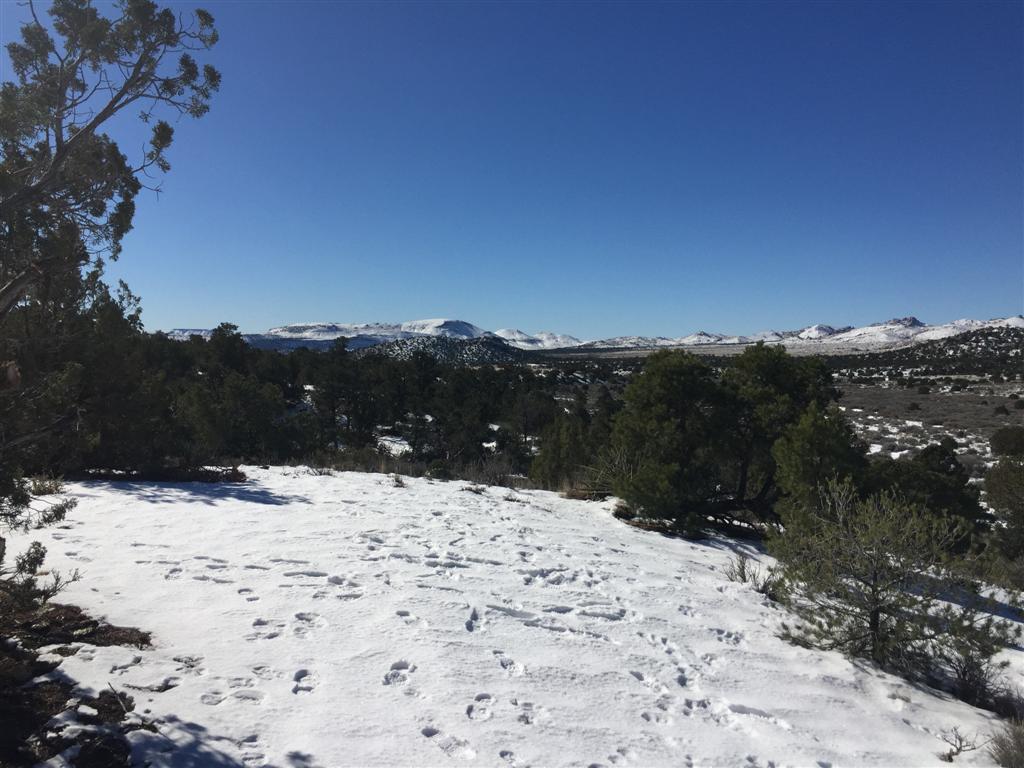 Snow driving in the desert -1.jpg