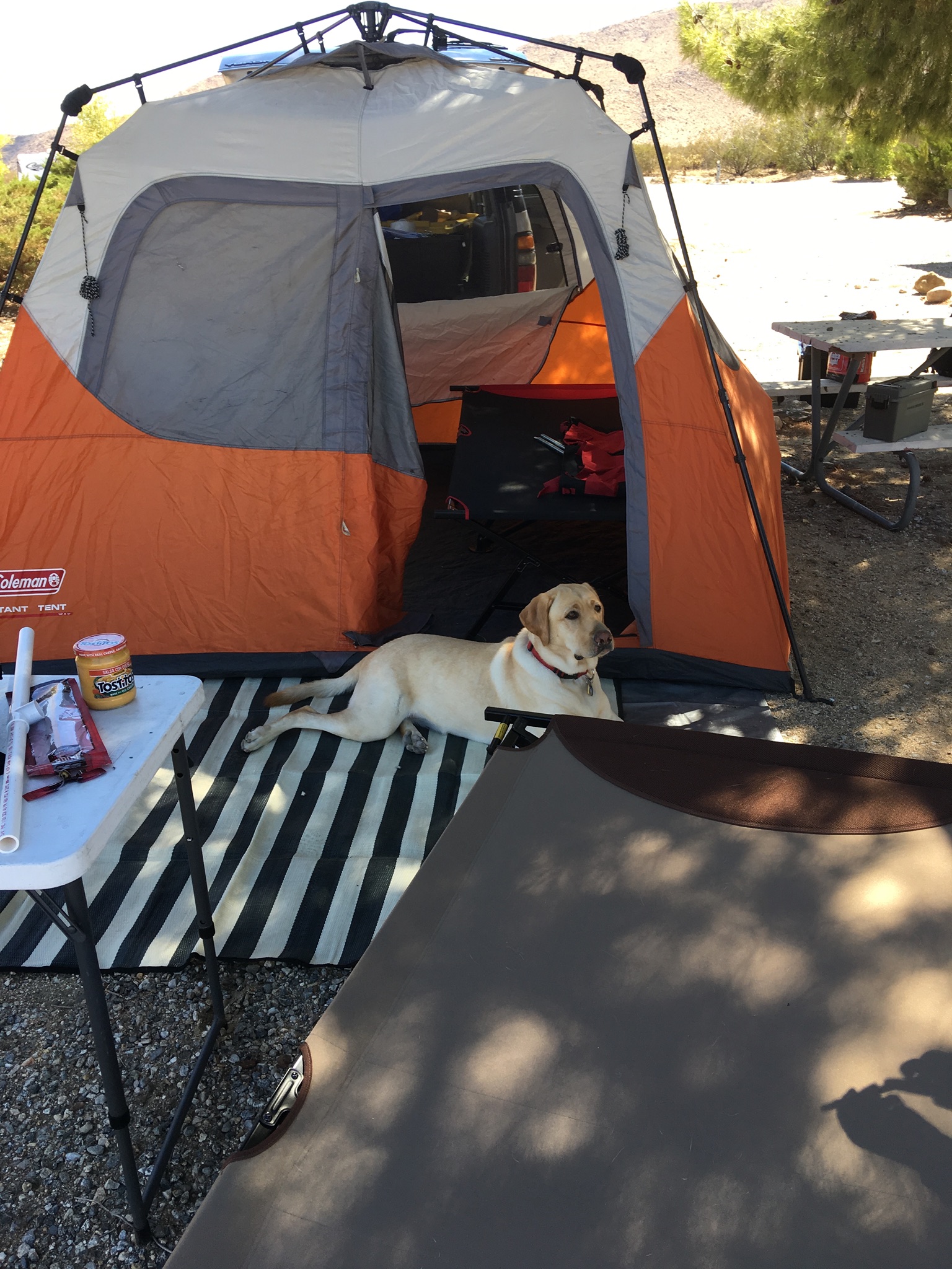 Coleman quick set tent.