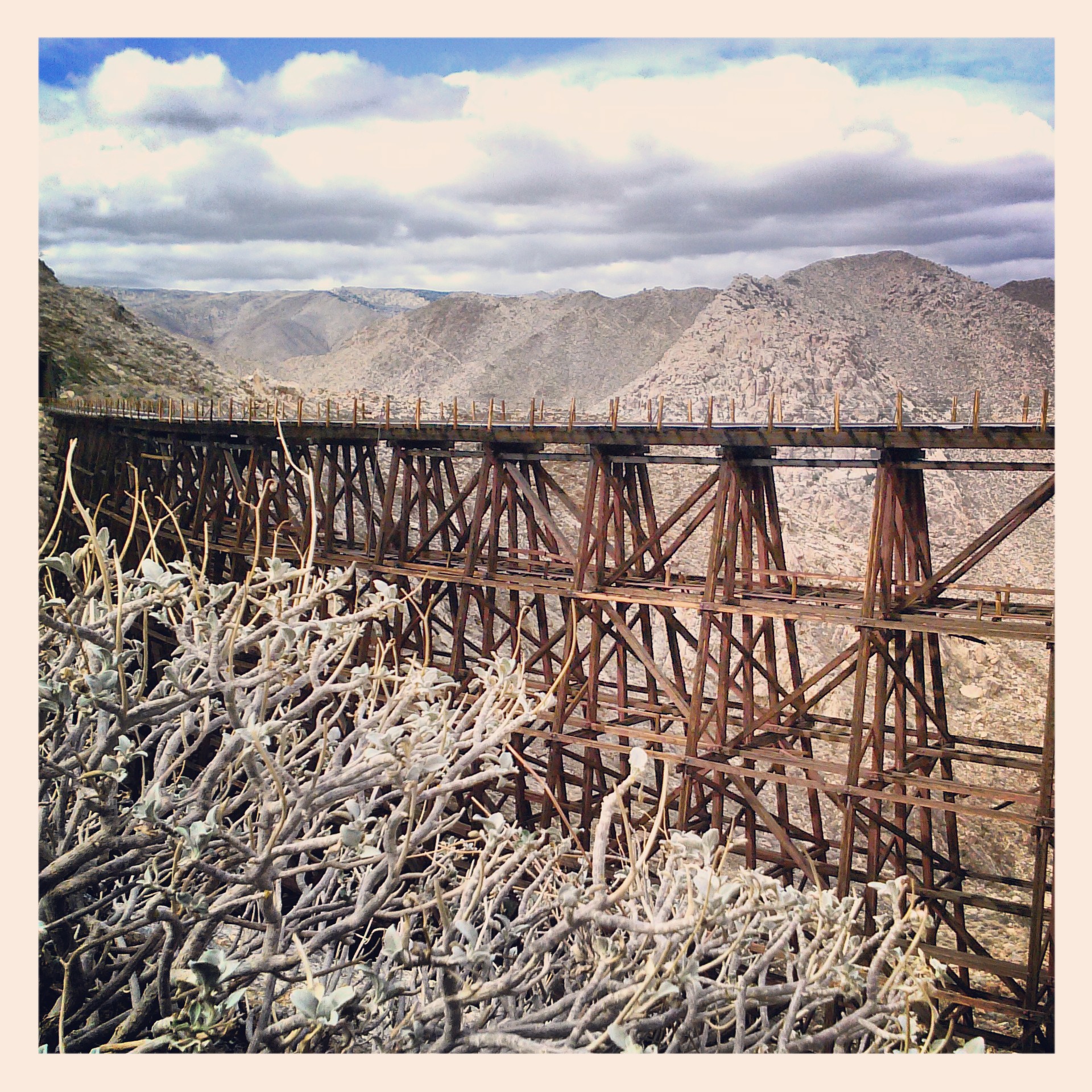 Close-up of Goat Cyn. Trestle.jpg