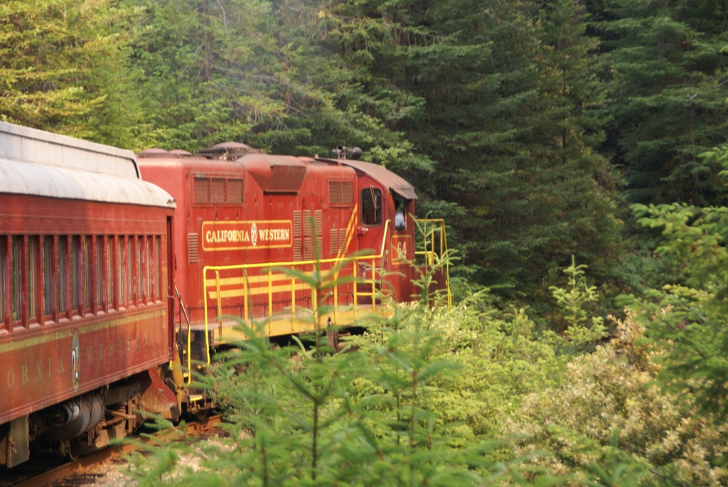 Scenic as any railroad much like the train out of Santa Cruz, CA.