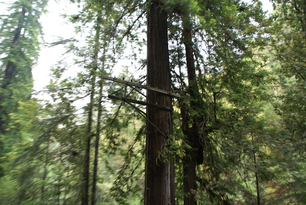 Signs of a past time can be seen both high and low.  I could imagine the talking wire running along side the train route.