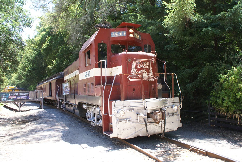 Pick up the train in Santa Cruz and travel inland to the &quot;basin of the big trees.&quot;