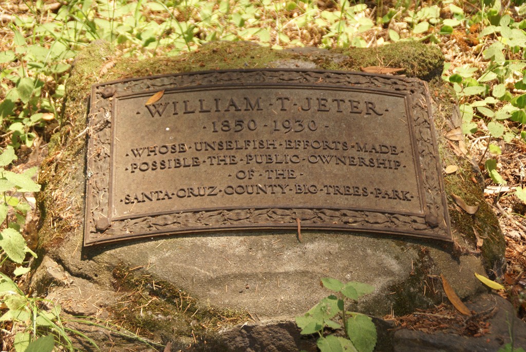 Perhaps William T. Jeter's greatest achievement would be his living memorials, the giant redwoods at the Henry B. Cowell Redwoods State Park at Felton, California. Earlier he had participated in the successful battle to purchase the “Big Basin” area north of Santa Cruz for public use and then later to procure the magnificent Felton big trees for Santa Cruz County as a public park. He would learn on his deathbed that his efforts had been successful and that the 1000+ year-old coast redwood grove had passed into public ownership. On 12 May 1934, a flag-draped bronze tablet attached to one of the giants was unveiled as memorial to “William T. Jeter, 1850-1930, whose unselfish efforts made possible the ownership of the Santa Cruz County Big Trees Park.” The “Jeter Tree” is still standing at the end of the 2nd millenium, as it was at the end of the first —- and will forever be a source of inspiration and pride to all in the family who visit.