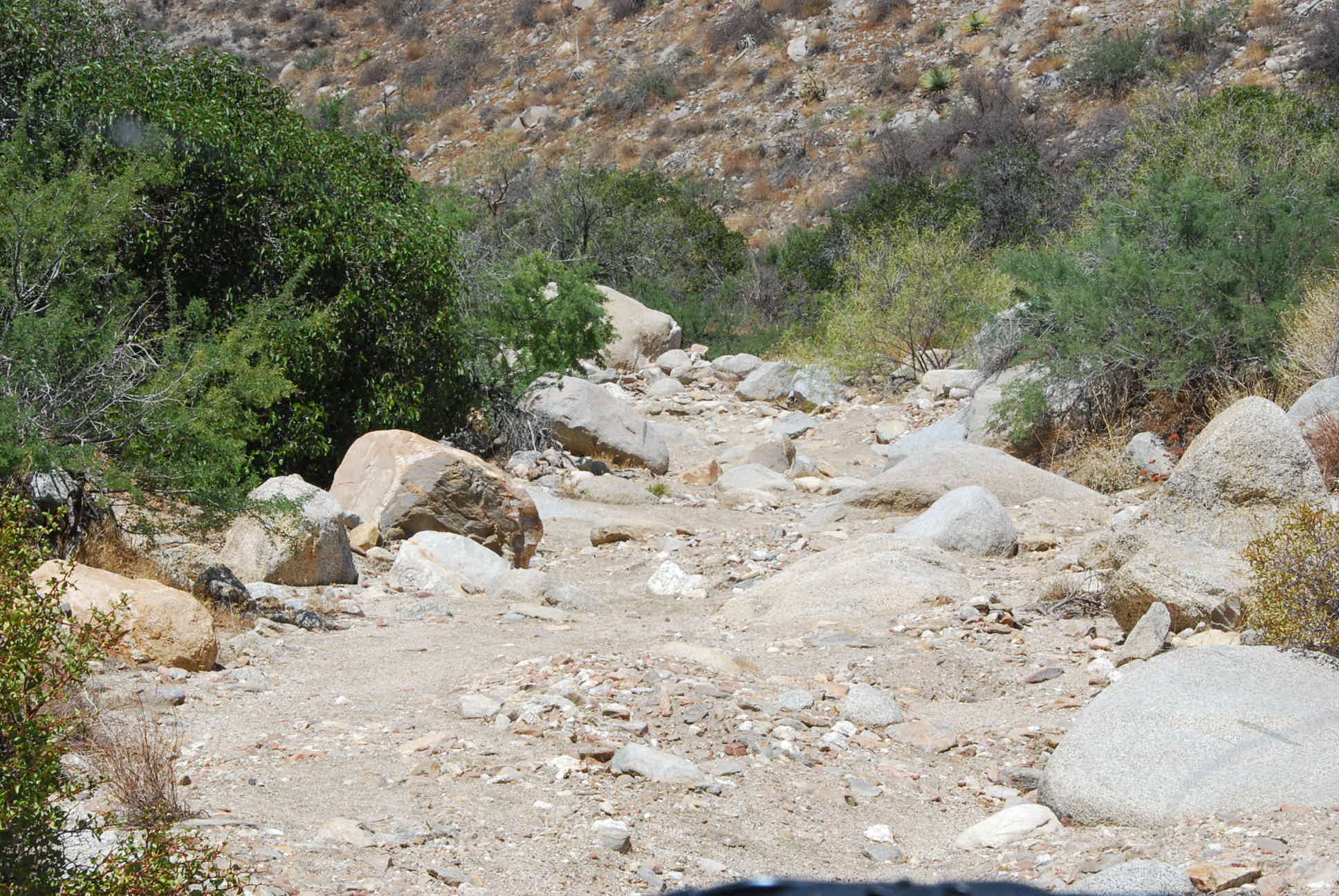 Rodriguez Canyon