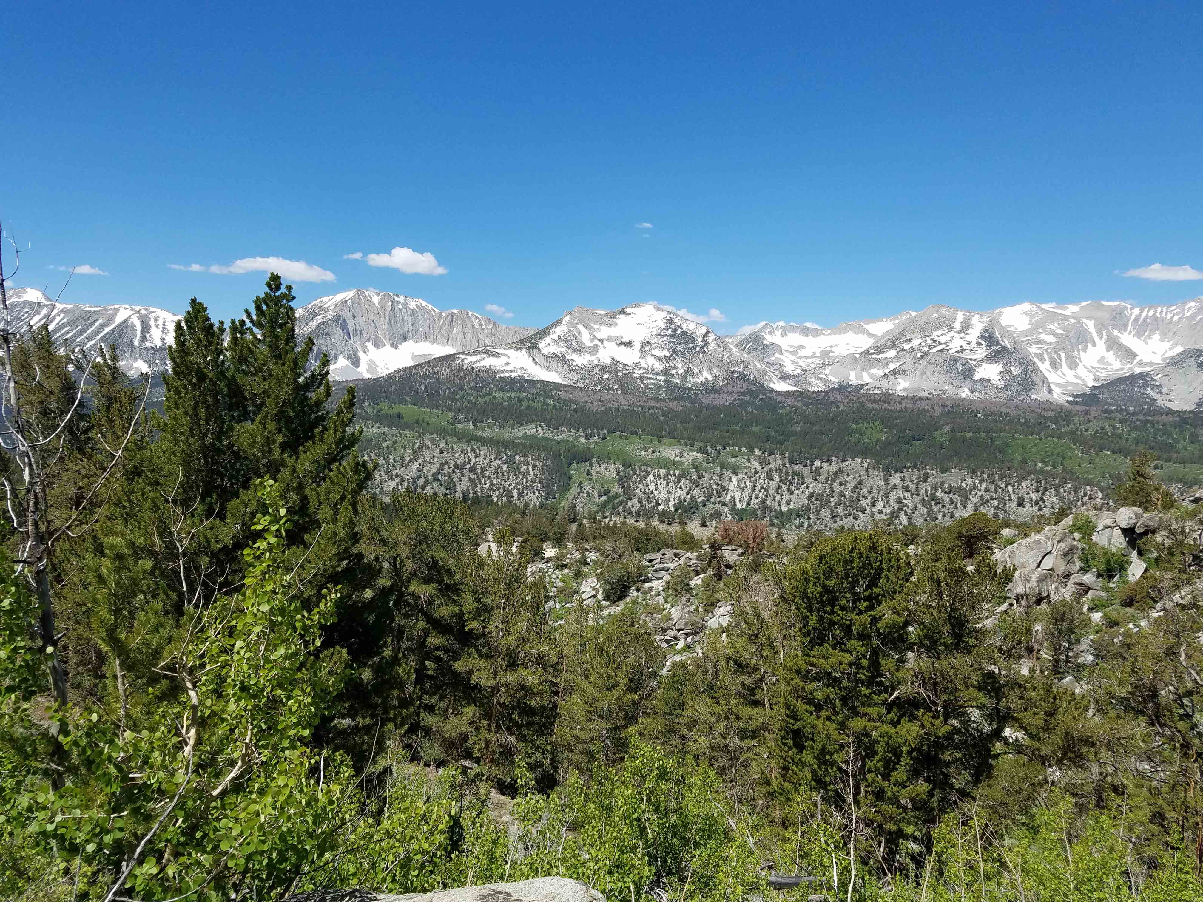 Wheeler Mt.jpg
