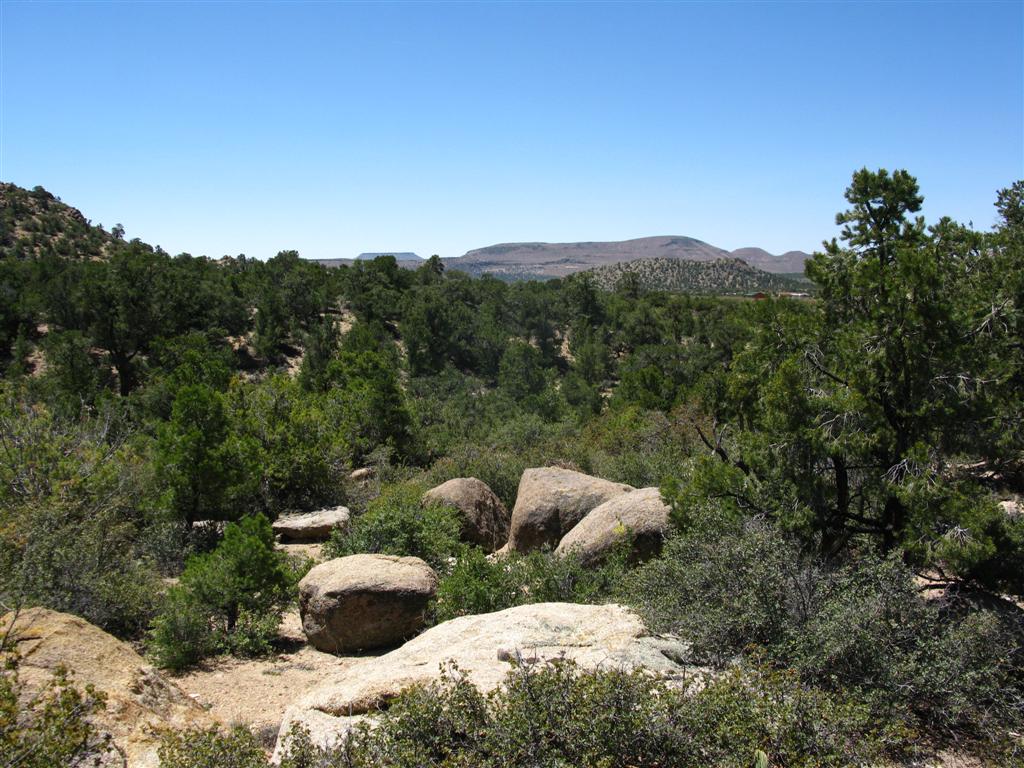 Mojave View From Camp.JPG