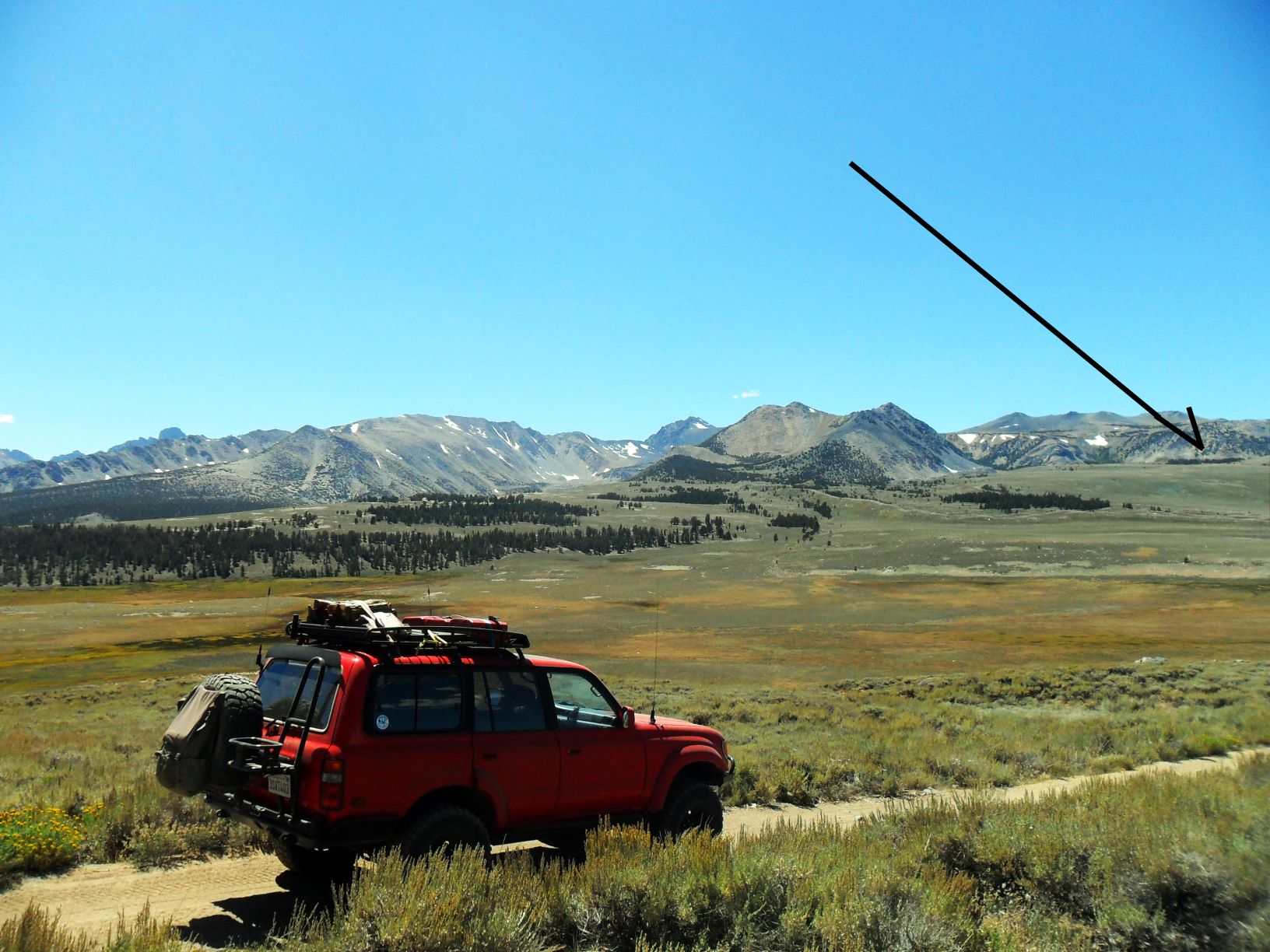 Pines - Coyote Flats 5.jpg