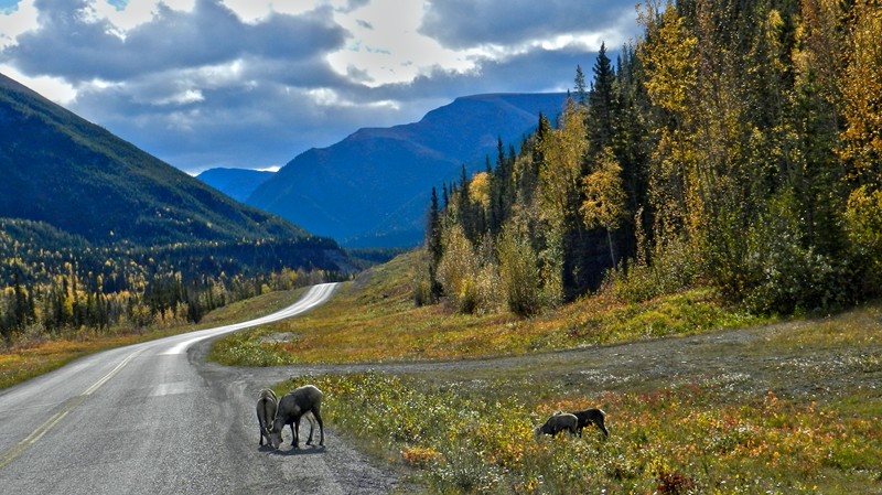 More of the wildlife along the way.