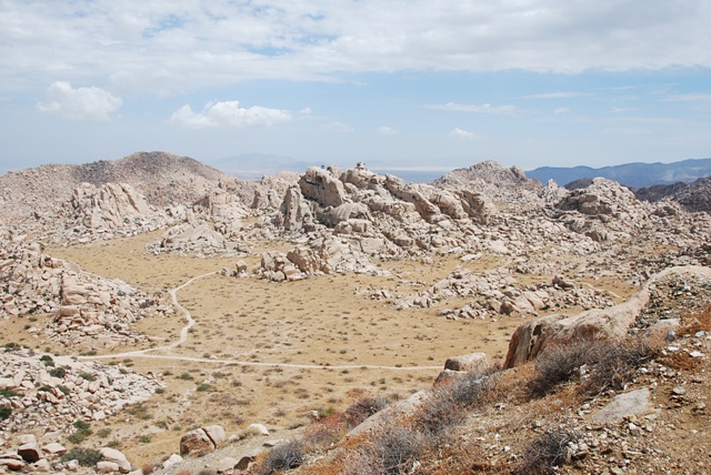DSC_0205.JPG