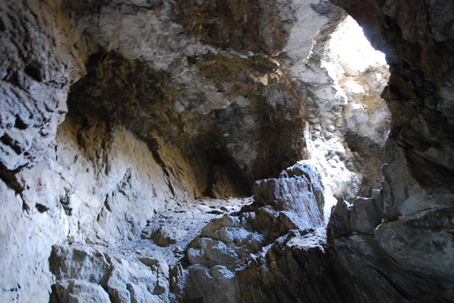 DSC_0220.JPG