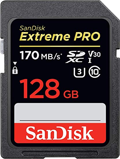 SD Card.jpg
