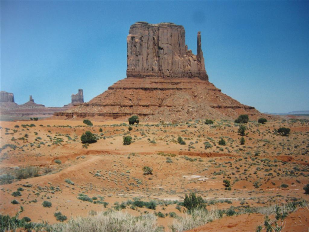 IMG_1080 (Large).JPG