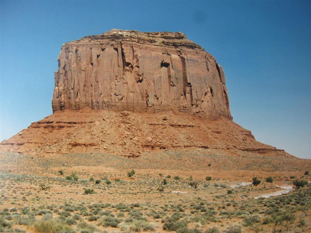 IMG_1078 (Large).JPG