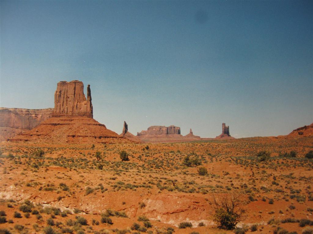 IMG_1077 (Large).JPG