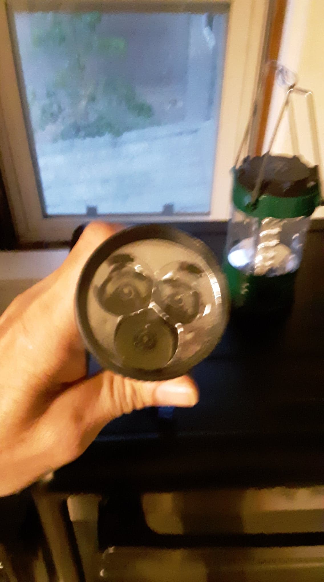 198681560_933717700520775_5882718767482679246_n.jpg