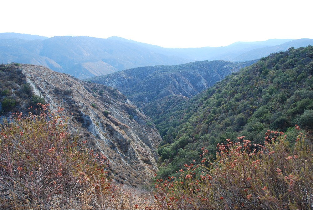 DSC_0116.JPG