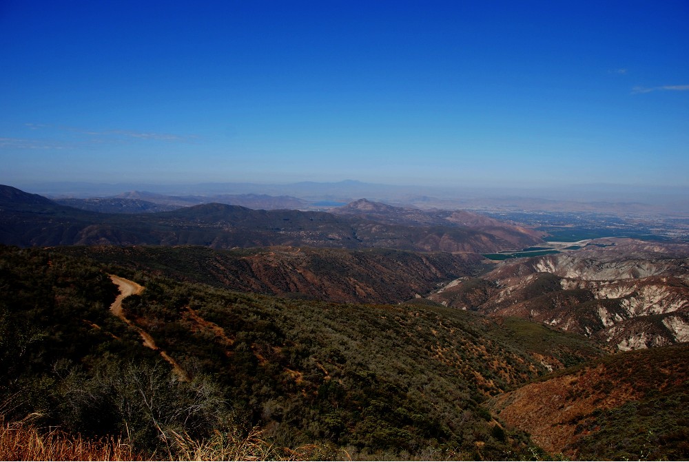 DSC_0137.JPG