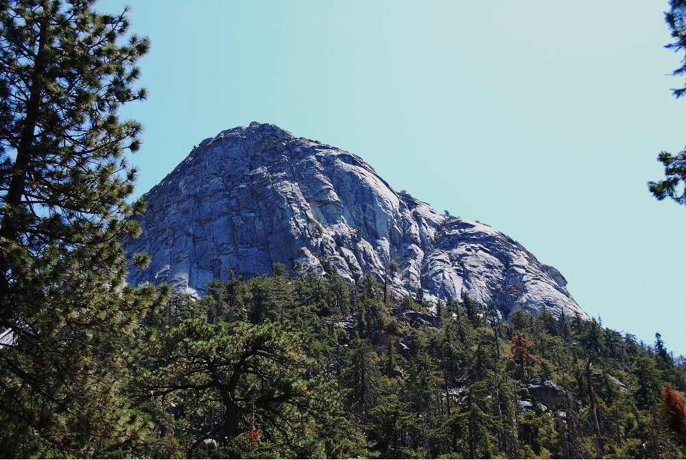 DSC_0159.JPG