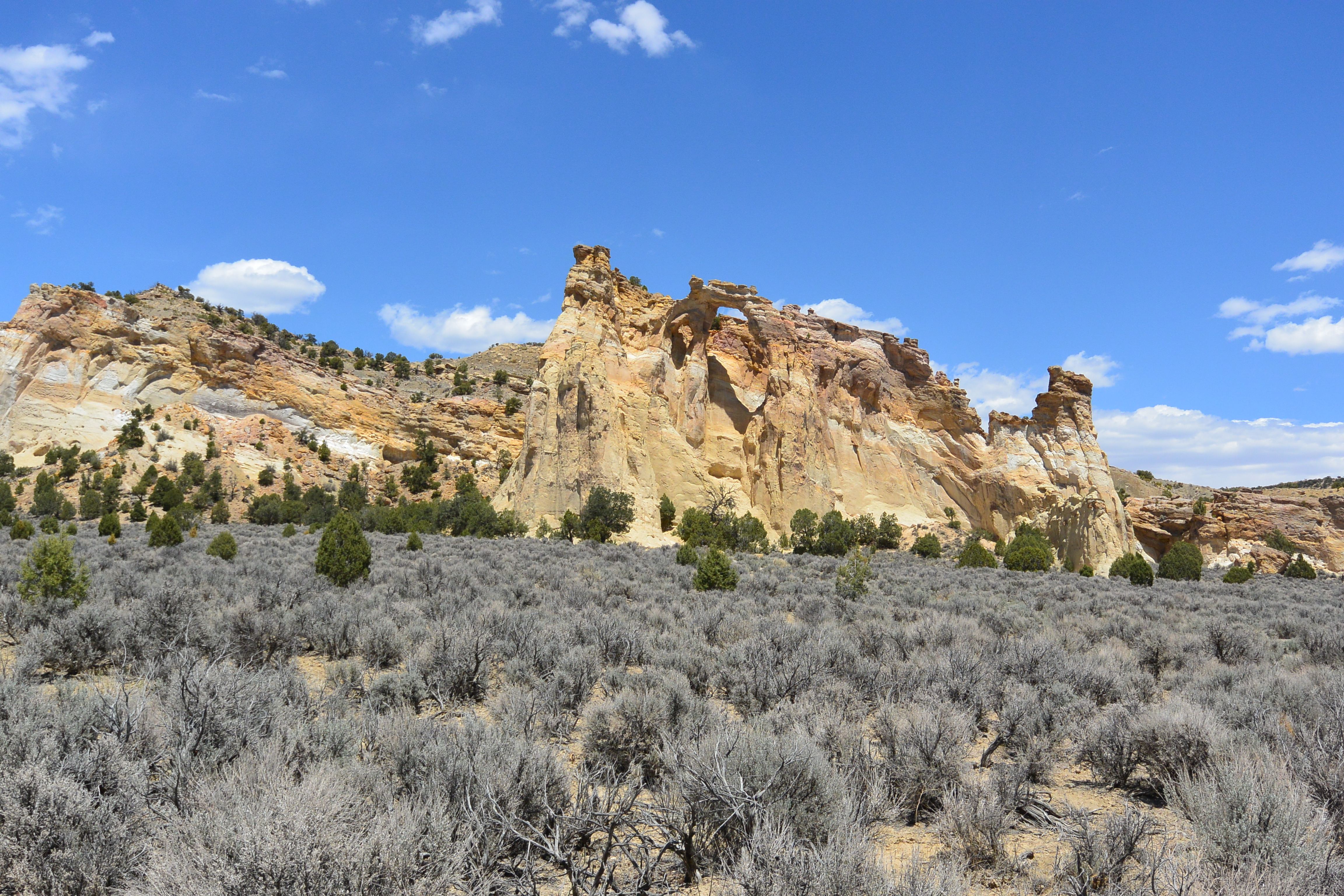 Copy of DSC_1626.jpg