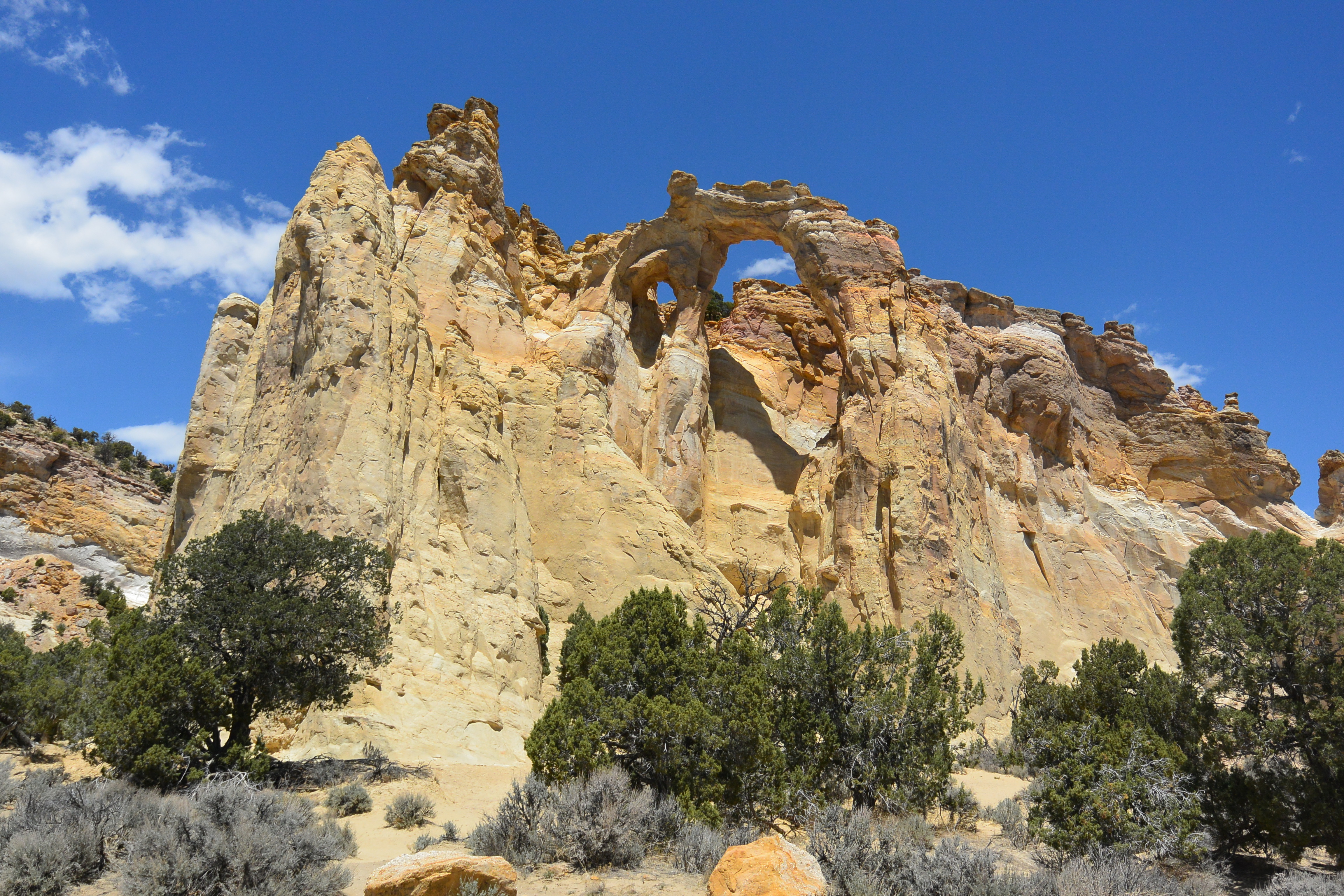 Copy of DSC_1631.jpg