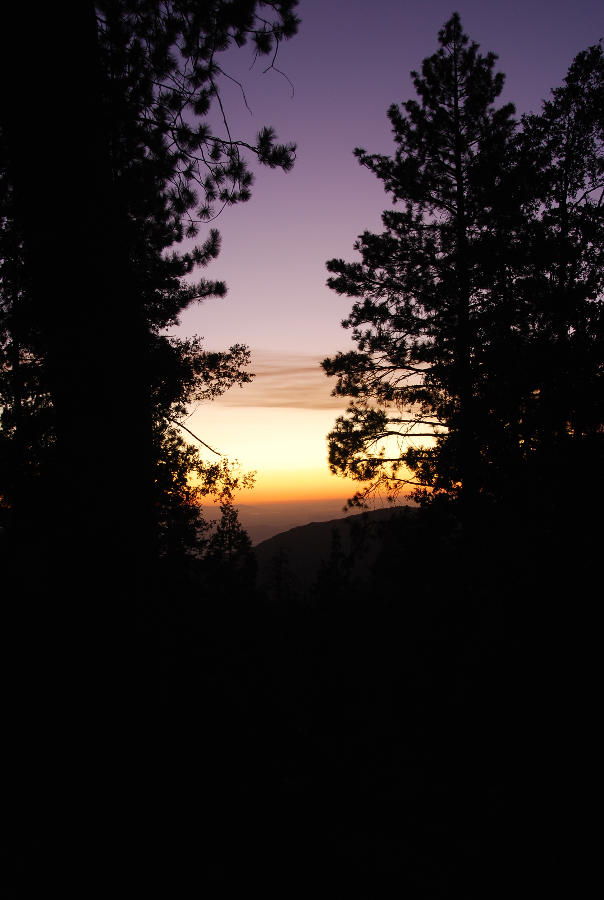 DSC_0281.JPG