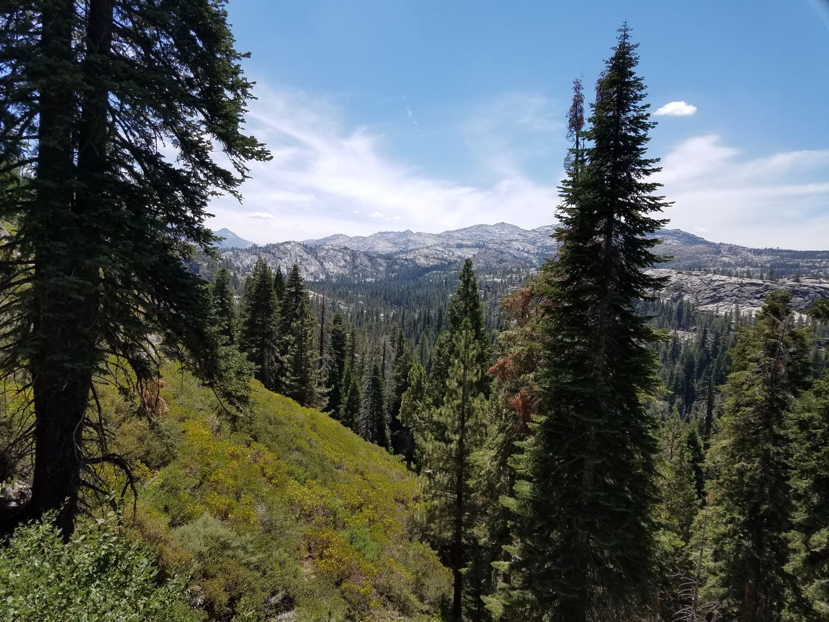 14 Looking back into camp Rubicon Springs.jpg