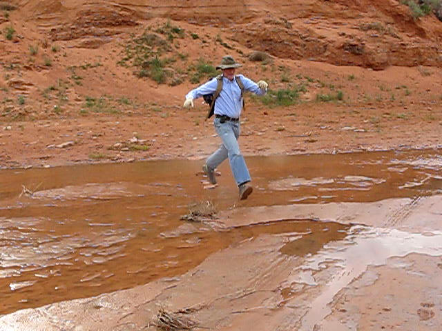 Puddle jumping-2.jpg