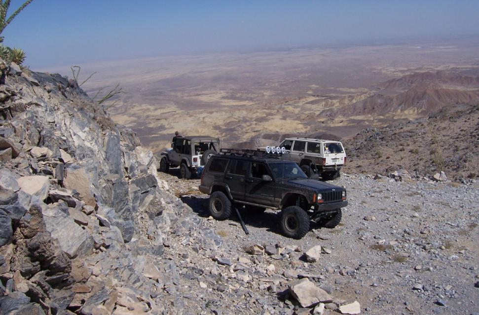 Pinyon 17.JPG