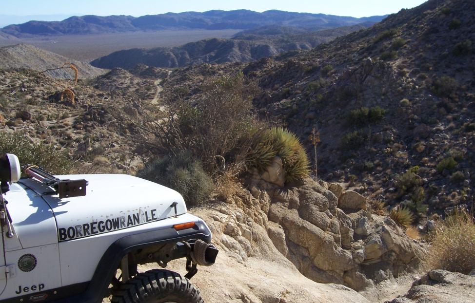 Pinyon 8.JPG