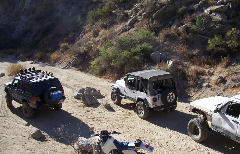 Pinyon 6.JPG