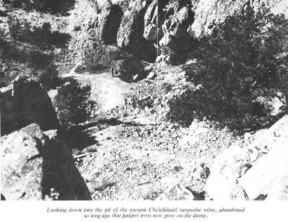 Tiro-2.jpg