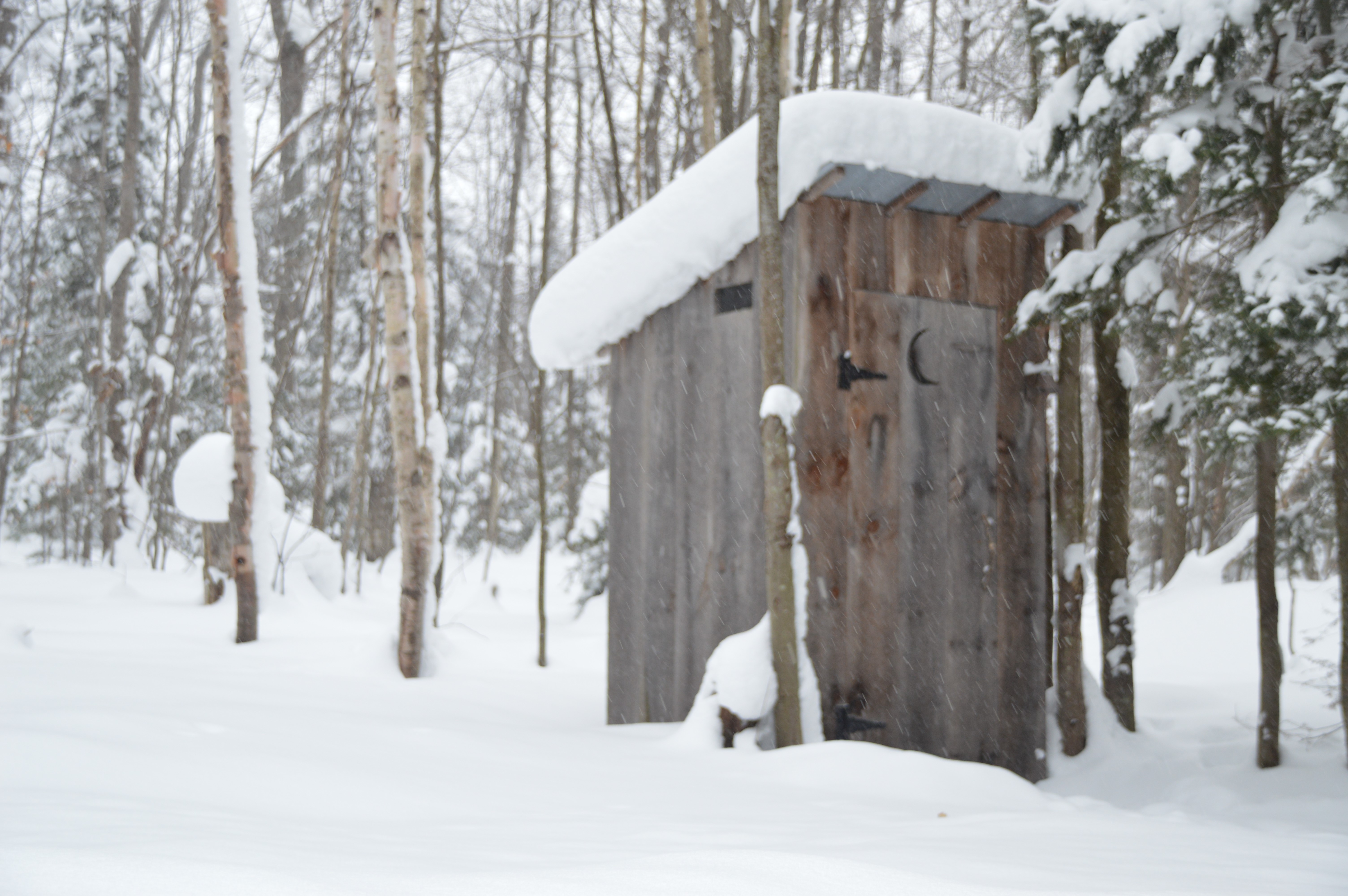 E-Outhouse in the Snow (2).jpg