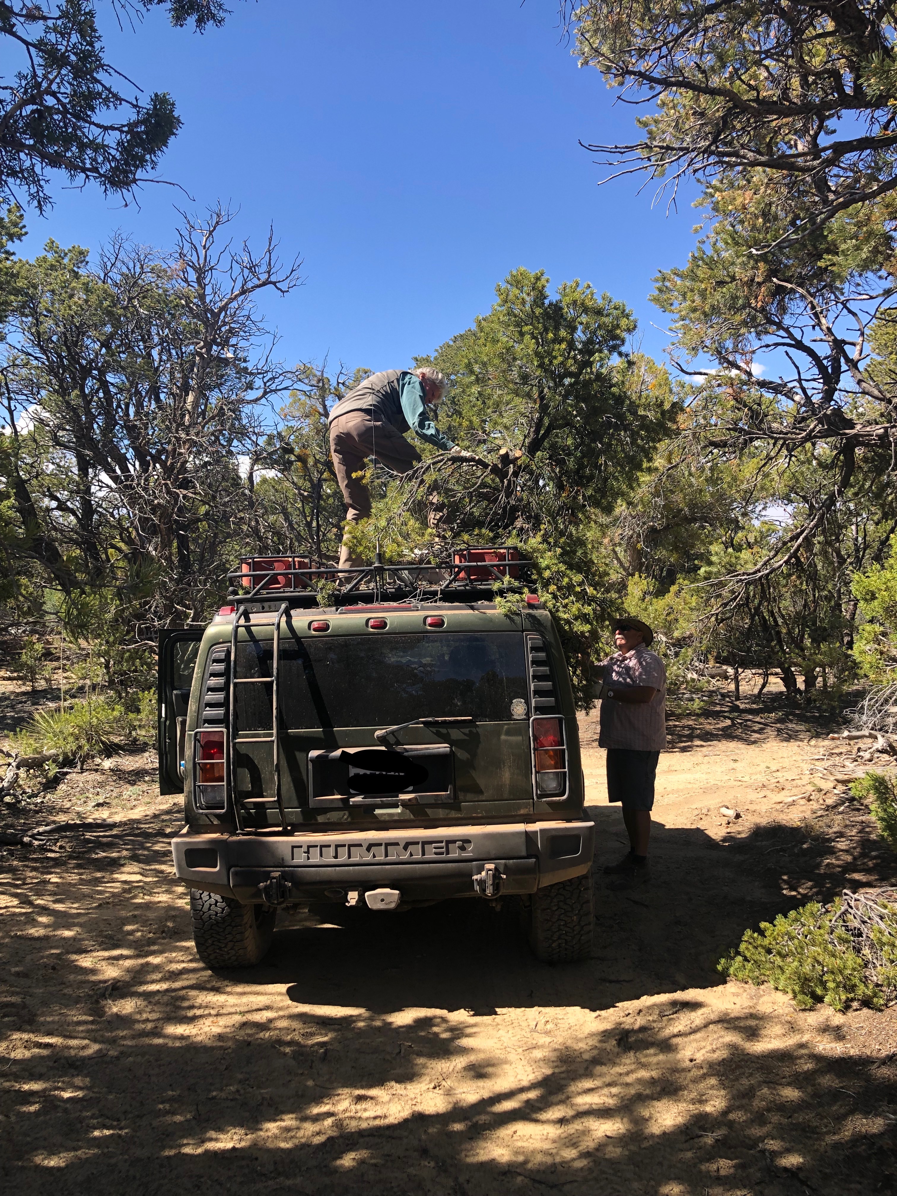 Hummer vs Tree branch-2.jpg