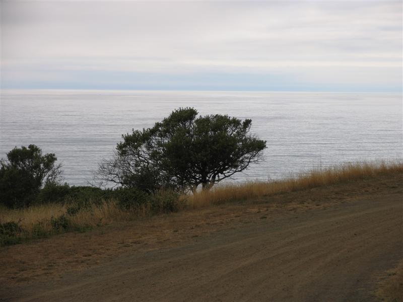 tahoe offroad 090 (Medium).jpg