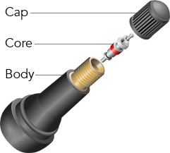 Components.jpg