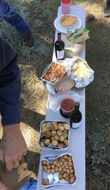 2019 Field Day. The bench made a great table for wine and appetizers on the antenna farm.