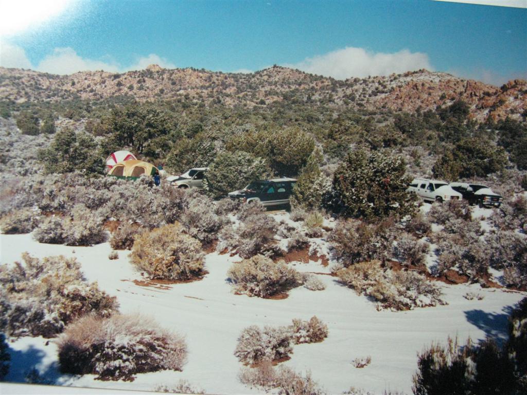 IMG_1170 (Large).JPG