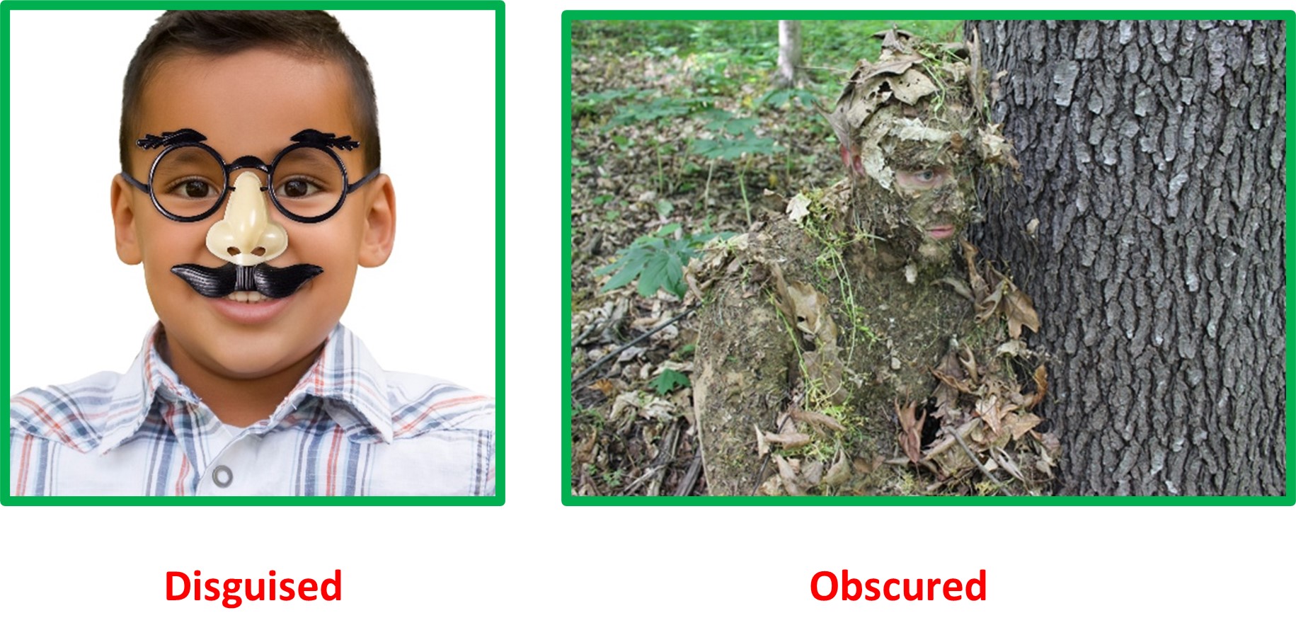 Disguised Vs Obscured.jpg