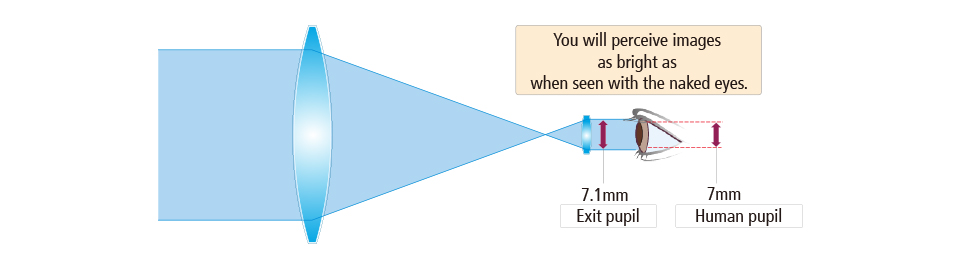 Exit pupil-2.jpg