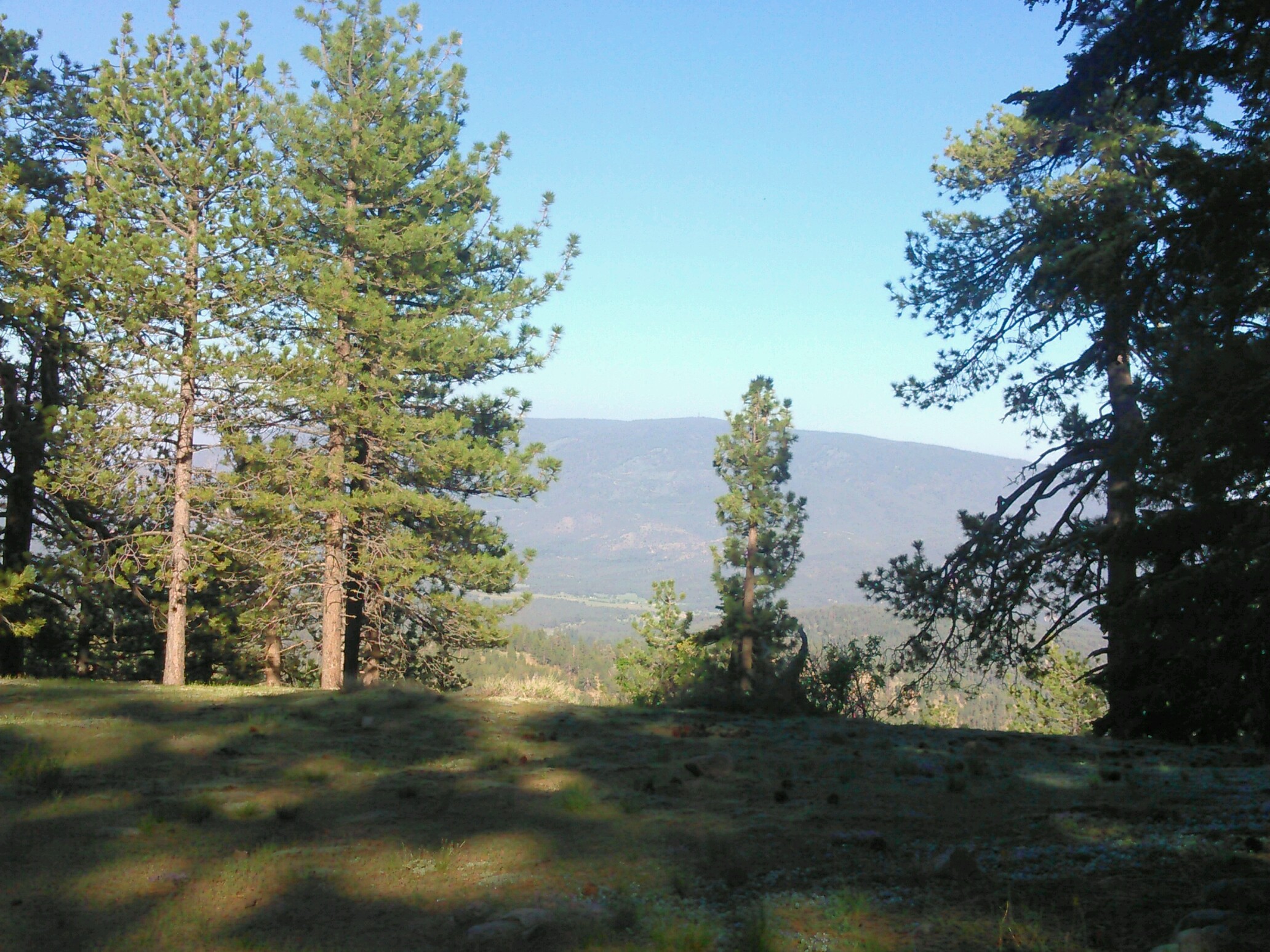 PART_1561572678052_Copy_KIMG0240.jpg