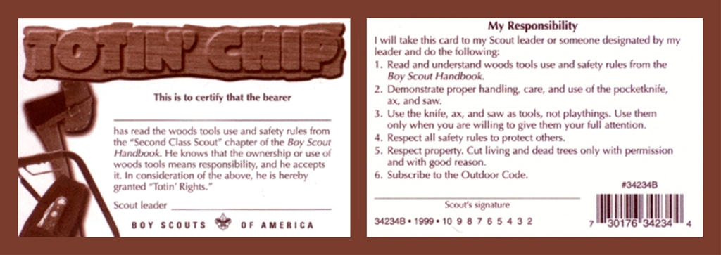 The BSA has a great program for getting the information you need to be proficient with safety concerns.  I use this same &quot;doctrine&quot; with my nephews who have not been afforded the opportunity to be a Scout.