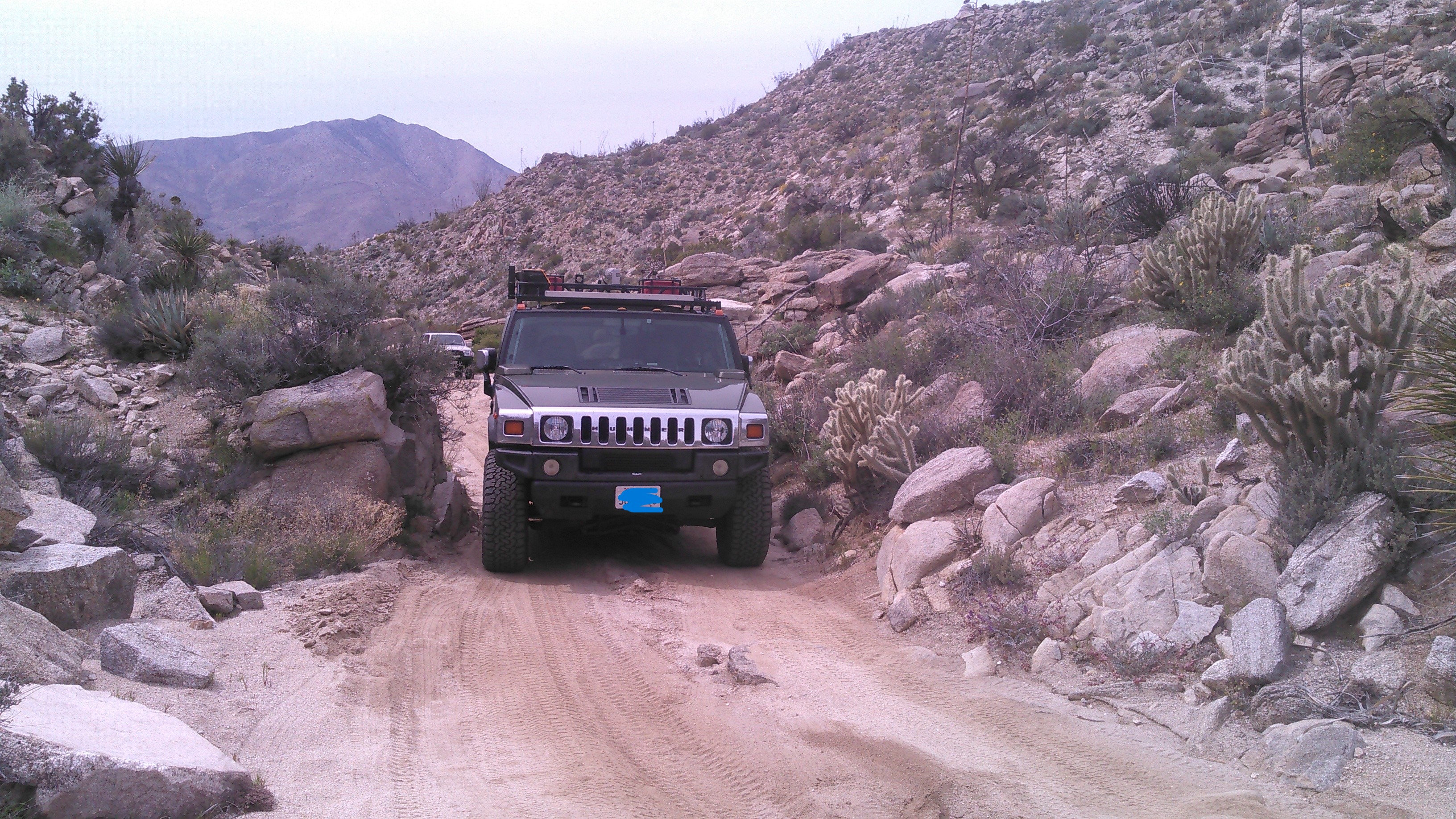 On the Trail.jpg
