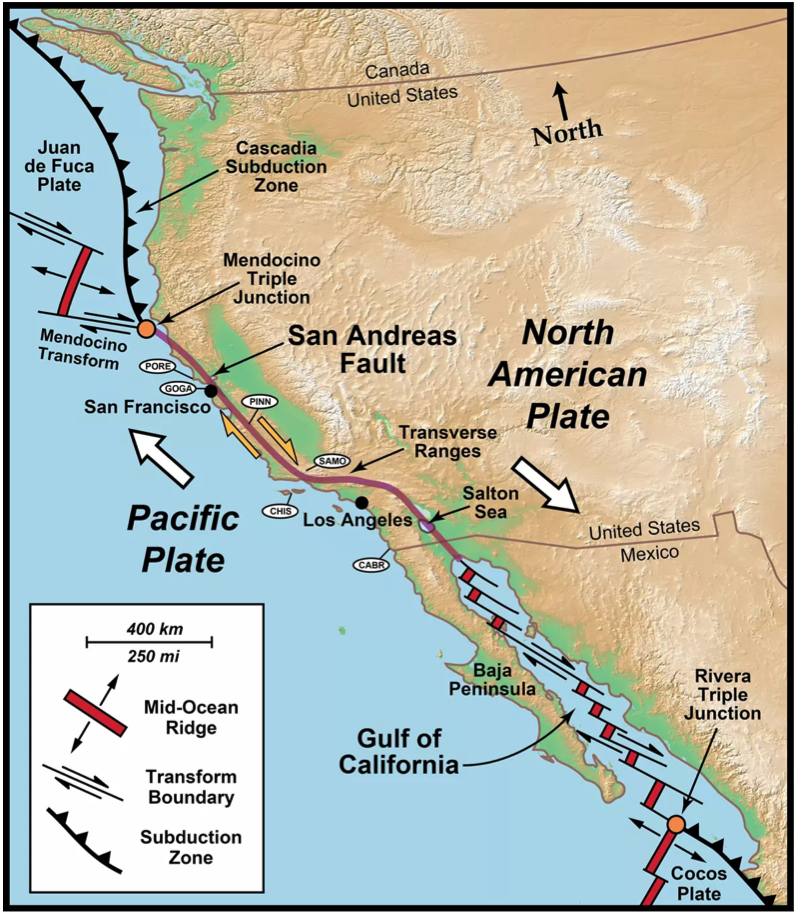 North America Plate.png