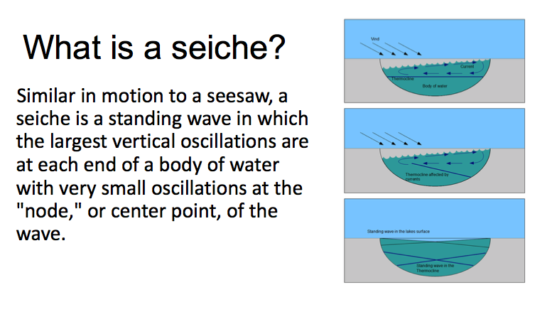 Seiche.png