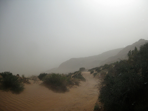 Sand storm.jpg
