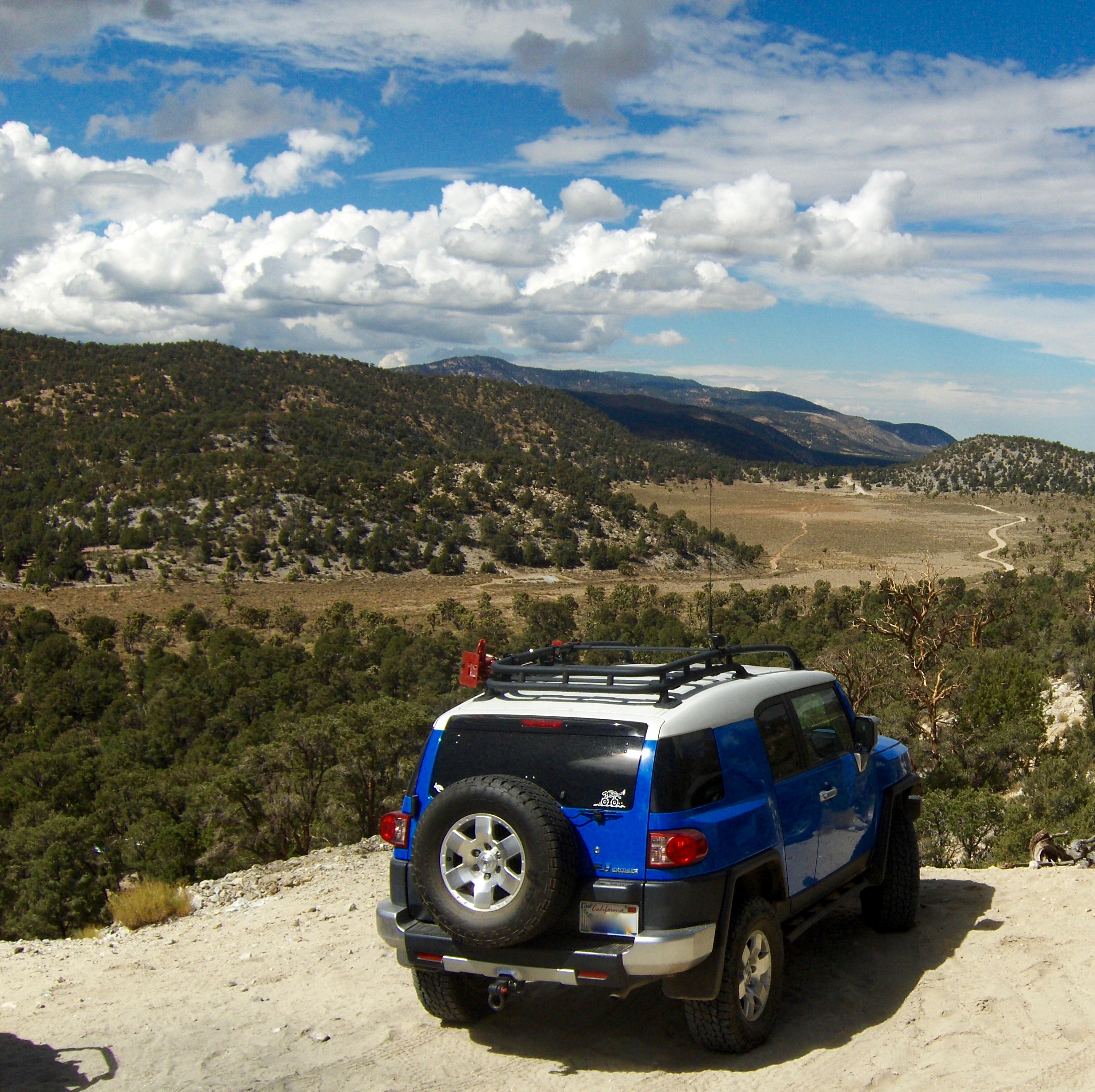 FJ Big Bear.jpg