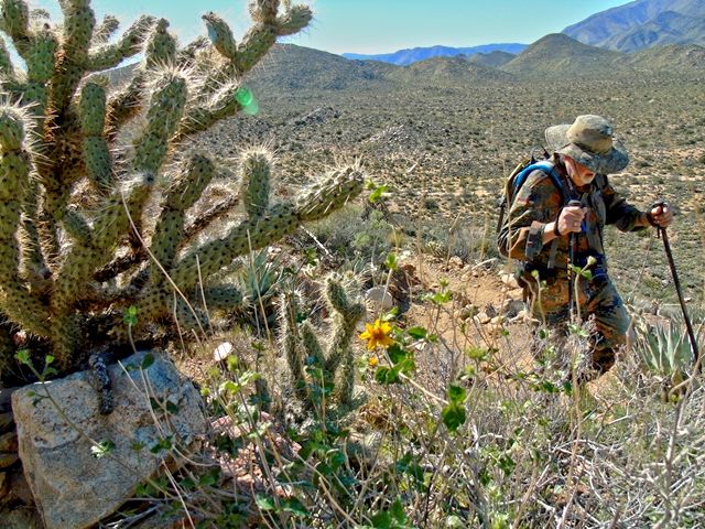03, Marshal South Hike.jpg